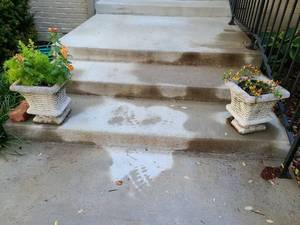 lot 4001 image: Two concrete planters with live plants, 12x12x12, both have chunk out of base