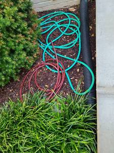 lot 4004 image: Green garden hose, shorter red hose