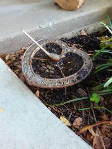 lot 4005 image: Small metal bird bath, 5x9x9, close to ground level