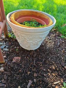 lot 4210 image: Flowerpots inside each other, largest is 19x22, 2 sets, one has live caladium plant
