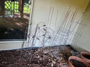 lot 4215 image: 5 tomato cages and folding trellis, 32in tall