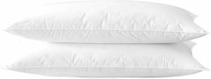 lot 1062 image: Acteb Ultra Thin Flat Soft Bed Pillows King Size Set of 2 Plus Body Pillow for Sleeping 20x36, Hypoallergenic Skin Friendly Machine Washable
