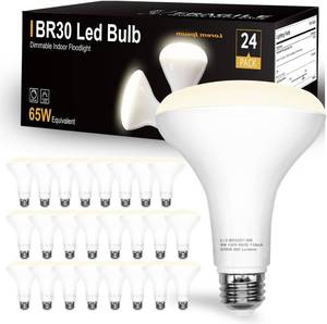 lot 5488 image: DAYBETTER 24Pack BR30 Led Bulb 65W Equivalent, Dimmable Flood Light Bulbs Indoor, E26 Base, 4000K Neutral White, 9W, 800 LM, Recessed Lighting Bulbs for Ceiling, Recessed Can, Living Room and Kitchen