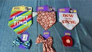 lot 2039 image: Boots & Barkley Pet Accessories Lot of 6
