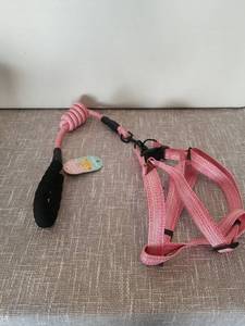 lot 4147 image: Dog Belt for Running & Swimming for Medium and Large Dogs Vest Long Leash Multicolored