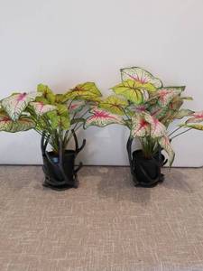 lot 4162 image: Faux Plants with Black Decorative Planters Lot of 2