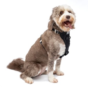 lot 4197 image: Kurgo Enhanced Strength Tru-Fit Smart Dog Harness, Large, Black,