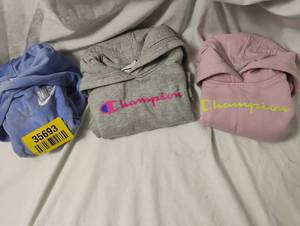 lot 35693 image: YOUTH Nike hooded long sleeve size XS, gray Champion hooded long sleeve size 3T, Pink Champion hooded long sleeve size 3T