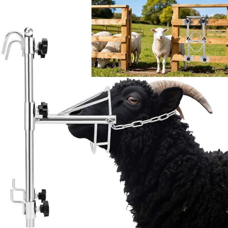 lot 442201 image: Sturdy Goat Sheep Stand, Livestock Trimming Goat Stand Adjustable Height 304 Stainless Steel Shearing Stand Portable Sheep Head Fixture, for GoatSheep Milking, Shearing & Trimming Stands