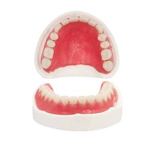 lot 2037 image: Generic DIY Temporary Denture Kit Upper and Lower Moldable Teeth