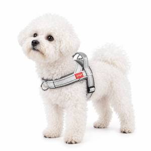 lot 6135 image: Pangdi No Pull Dog Harness with Handle Reflective Light Grey Size S