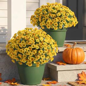 lot 8051 image: HyeFlora Artificial Mum Flowers Outdoor 6 Bundles Yellow UV Resistant