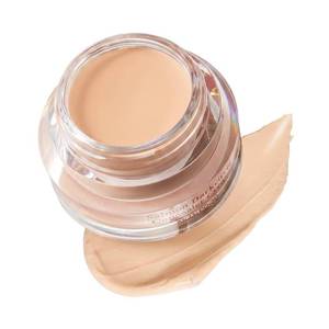 lot 14061 image: SKINFOOD Salmon PDRN Dark Circle Concealer Cream 0.35 Oz Blooming