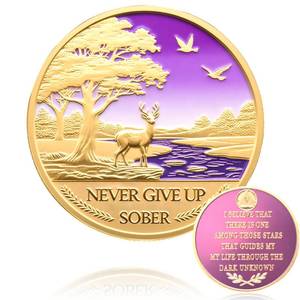 lot 18271 image: RYCJYMO 5 Year Sobriety Coin Chip Recovery Token Never Give Up Sober