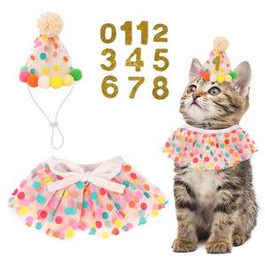 lot 2064 image: PTDECOR Cat Birthday Hat and Tutu Bib Set with Numbers