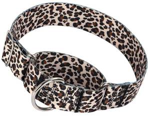lot 6204 image: Martingale Dog Collar Leopard Print 1.5 Inch Wide Large Dogs