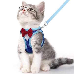 lot 6335 image: NCMAMA Cat Vest Harness and Leash Set Escape Proof Blue XS
