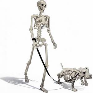 lot 19807 image: UZYZMS Halloween Skeleton Decoration Human & Dog Set 3FT Outdoor Indoor