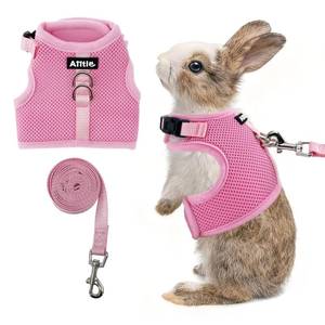 lot 2346 image: Aiitle Rabbit Harness and Leash Set Escape Proof Pink L