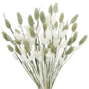 lot 8279 image: CISDUEO Dried Pampas Grass Stems 80 Pcs White and Green Gem Grass