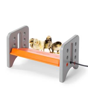 lot 9290 image: K&H Pet Products Thermo-Poultry Brooder GrayOrange Small 8 X 13.5 X 8 Inches