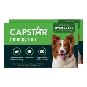 lot 14203 image: Capstar Nitenpyram Oral Flea Tablets for Dogs 57 mg, 12-Dose