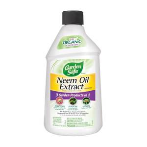lot 20181 image: Garden Safe Neem Oil Extract Concentrate 10 Oz