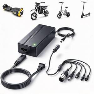 lot 20229 image: Carsty Hoverboard Charger 42V with 5-in-1 Plugs