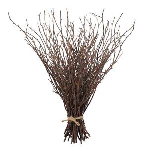lot 2046 image: Uieke Birch Twigs 50 Pcs 17 Inch Natural Dried Decorative Branches