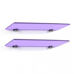 lot 2070 image: iobiotio Small Floating Shelves 15 Inch Acrylic Wall Mounted Purple 2 Pcs