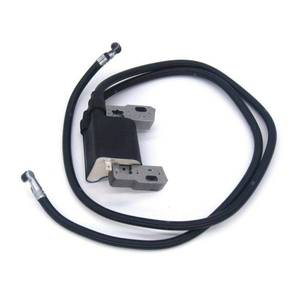 lot 10015 image: PARTSRUN COIL Ignition Module For Briggs & Stratton 42A707, 42A777, 422707, 401415, 401417, 460707, 460777, 461707, 462707, 463707, 590781, 394891, 392329, 421417,ZF-IG-A00351