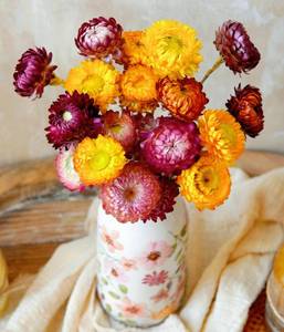 lot 17687 image: Teweiqi Natural Dried Straw Flower Daisies 20 Pcs Bouquet