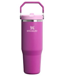Stanley IceFlow 2.0 Flip Straw Tumbler 30 oz Dark Blossom