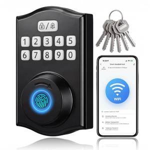 lot 18098 image: RUIKANG POWER WiFi Smart Keyless Deadbolt Lock Fingerprint Keypad Copper