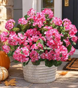 lot 20410 image: HyeFlora Artificial Geranium Flowers Pink 6 Bundles Silk UV Resistant Outdoor