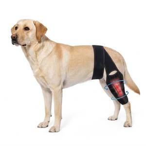 lot 13557 image: Dog Knee Brace for Back Leg Size M Model 1017