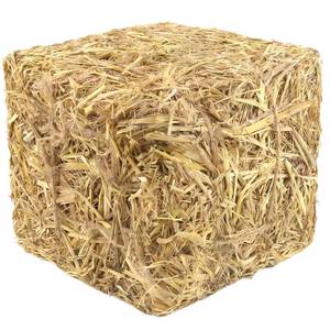 lot 1405 image: Avalution Natural Wheat Straw Mulch 2.2 LB Compressed Bale