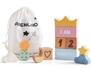 lot 8192 image: AVENLAND Wooden Baby Milestone Blocks Set of 12 Monthly Age Blocks