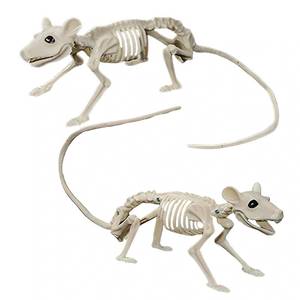 lot 8202 image: JIEFULL Rat Skeleton Halloween Decoration Large Outdoor Mouse Bones 2 Piece