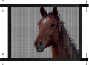 lot 8291 image: HRYOML Horse Trailer Window Screen with Hook and Loop