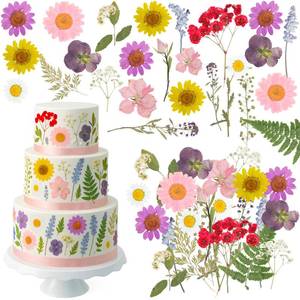 lot 18382 image: Maasechs Natural Pressed Wildflower Cupcake Toppers 34 Pcs Mixed Colors