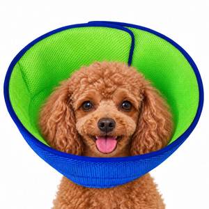 lot 2143 image: LH NTGR Soft Dog Cone Recovery Collar Medium