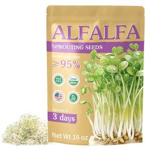 lot 2301 image: Majero Organic Alfalfa Sprout Seeds 16 oz