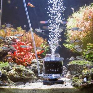 lot 6465 image: AQQA Air-Driven Aquarium Sponge Filter, 5-110 Gallon Tanks