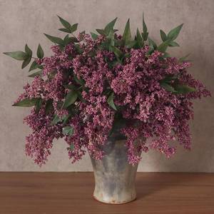 lot 13931 image: Juxdp Artificial Nandina Berry Stems 17 Inch 6 Pcs Dusty Plum