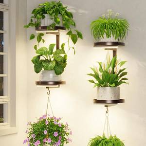 lot 1494 image: LASZOLA Plant Hanger Wall Shelf with Grow Lights Indoor 2 Pcs Bronze