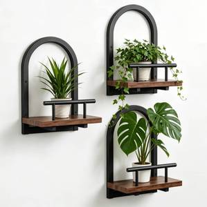 lot 1510 image: Amaoot Floating Wall Shelves Set of 3 Plant Holder with Metal Front Guard