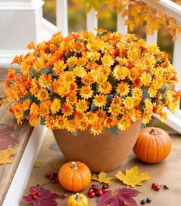 lot 10190 image: Daisy Artificial Flowers for Outdoors Autumn Fall Decor, 6 Bundles Fake Mums Orange Silk Flowers for Outside Look Real UV Resistant Fake Plants Faux Flowers for Planter Front Door Home Indoor Porch