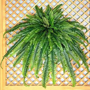 lot 11239 image: Forestwave Artificial Ferns 68 Inch Oversize Long Leaf Indoor Outdoor
