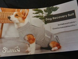 lot 12987 image: Gray Dog Recovery Suit Size M Full-Length Zipper 95% Cotton 5% Spandex